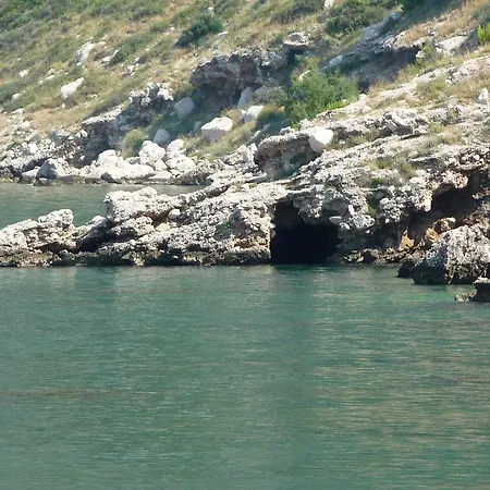 Leut Drašnice